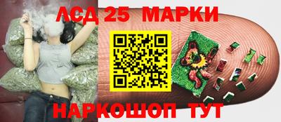 индика Бузулук
