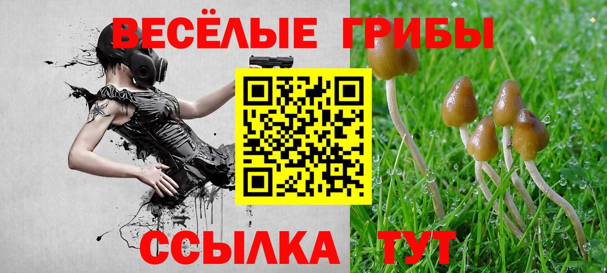 Глазов  Псилоцибиновые грибы GOLDEN TEACHER  Вход с VPN 