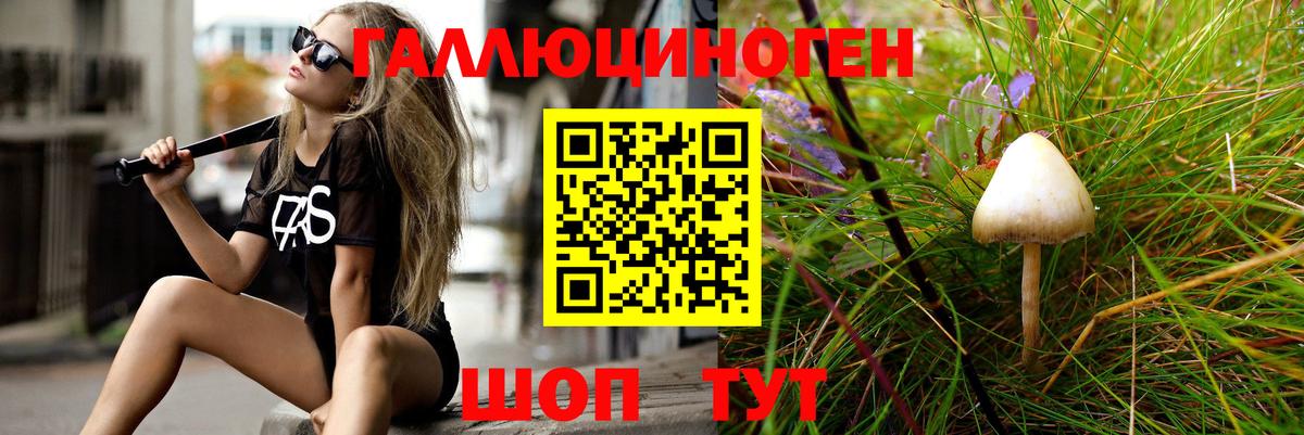 Галлюциногенные грибы мухоморы Глазов